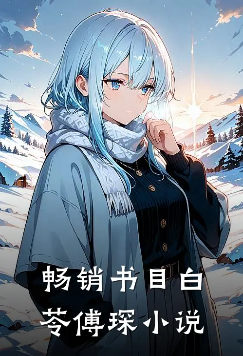 畅销书目白苓傅琛小说