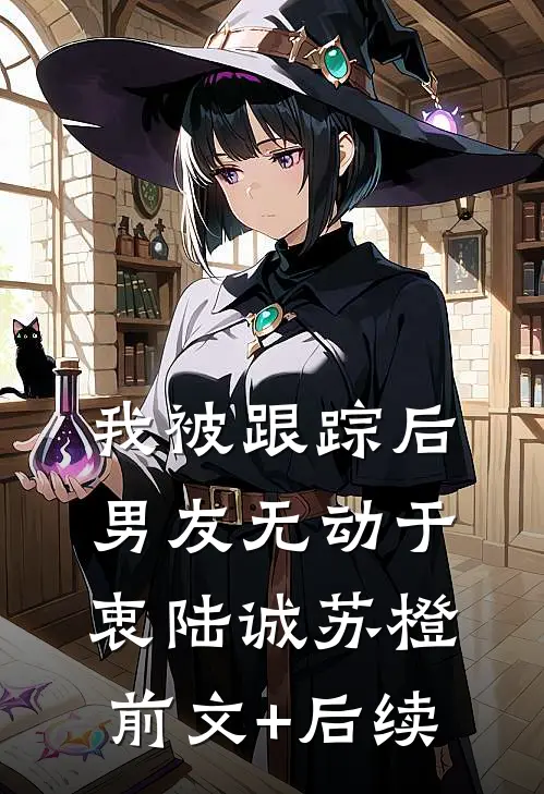 我被跟踪后，男友无动于衷陆诚苏橙前文+后续