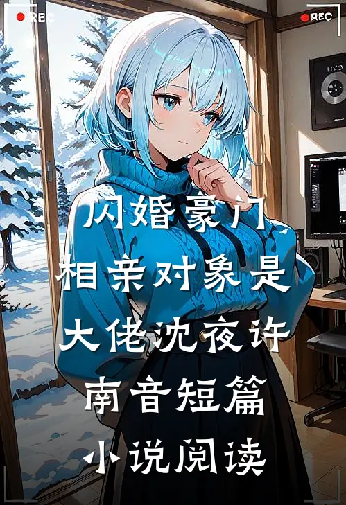 闪婚豪门:相亲对象是大佬沈夜许南音短篇小说阅读