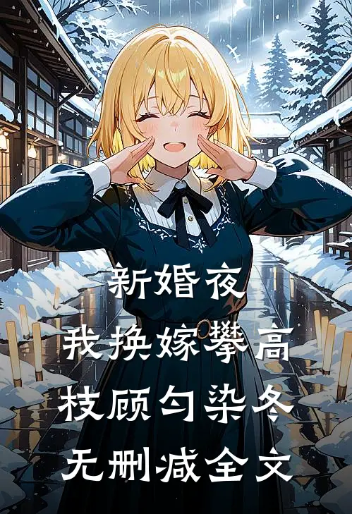 新婚夜，我换嫁攀高枝顾匀染冬无删减全文