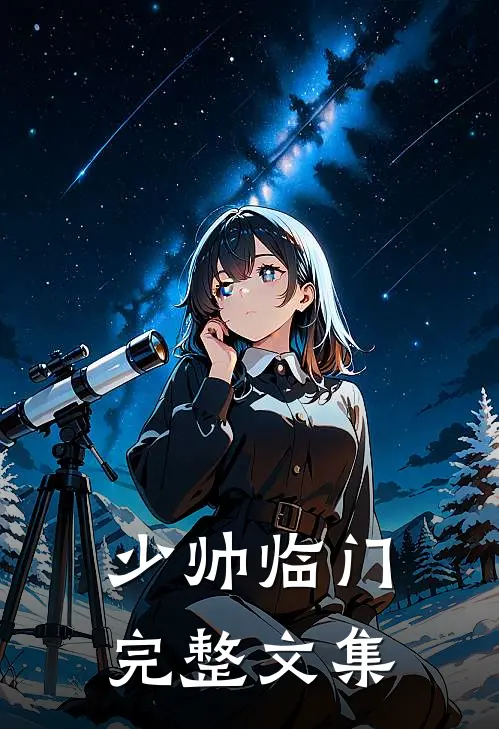 少帅临门完整文集