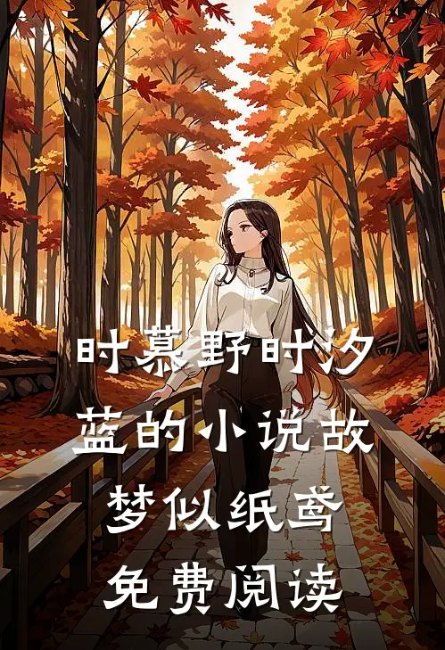 时慕野时汐蓝的小说故梦似纸鸢免费阅读