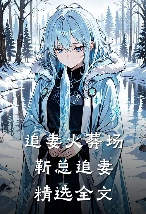 追妻火葬场靳总追妻精选全文