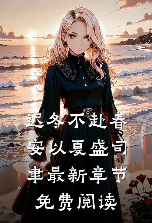 迟冬不赴春安以夏盛司聿最新章节免费阅读