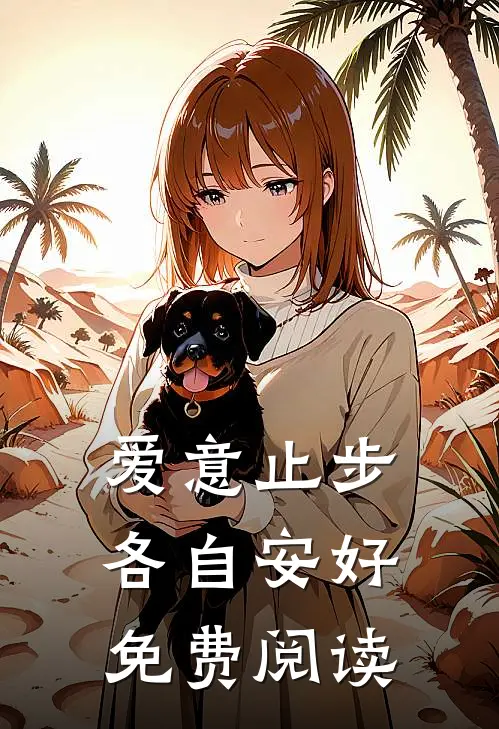 爱意止步，各自安好免费阅读