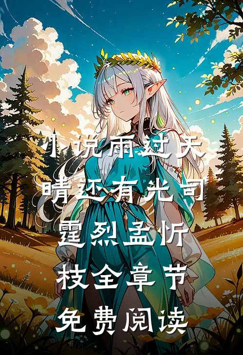 小说雨过天晴还有光司霆烈孟忻枝全章节免费阅读