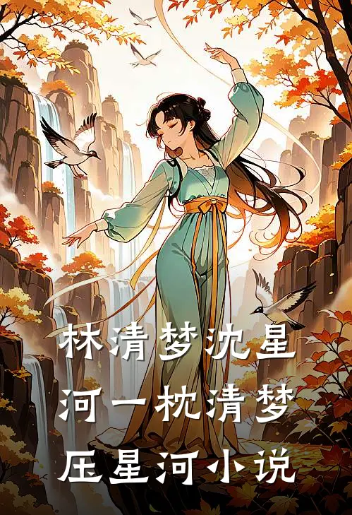 林清梦沈星河一枕清梦压星河小说