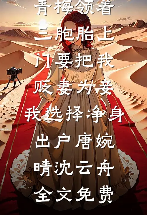 青梅领着三胞胎上门要把我贬妻为妾，我选择净身出户唐婉晴沈云舟全文免费
