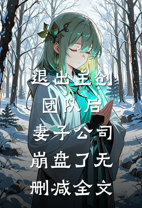 退出主创团队后，妻子公司崩盘了无删减全文