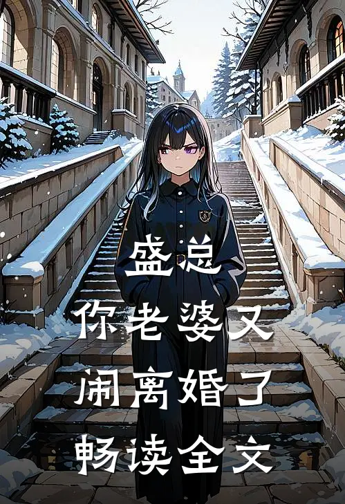 盛总，你老婆又闹离婚了畅读全文