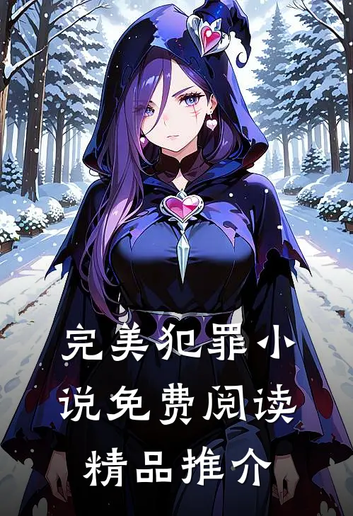 完美犯罪小说免费阅读精品推介