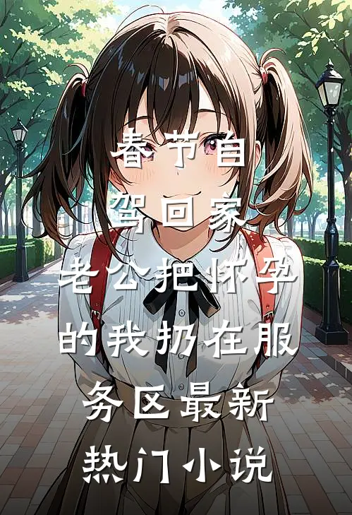 春节自驾回家，老公把怀孕的我扔在服务区最新热门小说