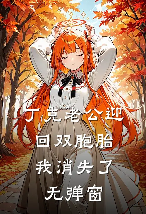 丁克老公迎回双胞胎，我消失了无弹窗