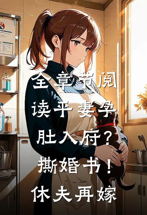 全章节阅读平妻孕肚入府？撕婚书！休夫再嫁