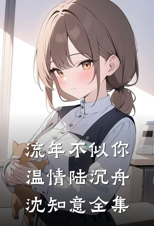 流年不似你温情陆沉舟沈知意 全集