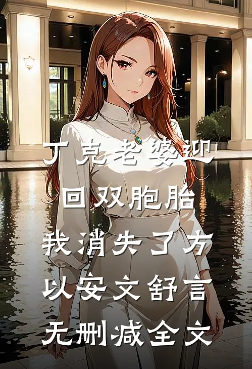 丁克老婆迎回双胞胎，我消失了方以安文舒言无删减全文