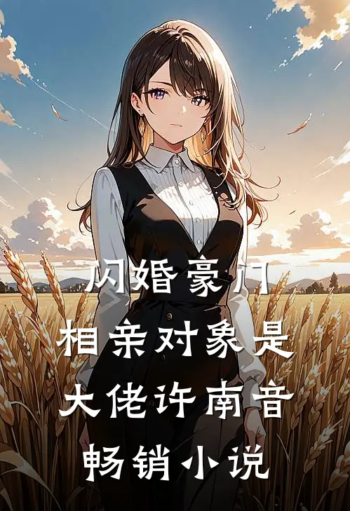 闪婚豪门:相亲对象是大佬许南音畅销小说