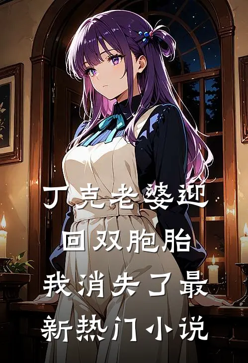 丁克老婆迎回双胞胎，我消失了最新热门小说