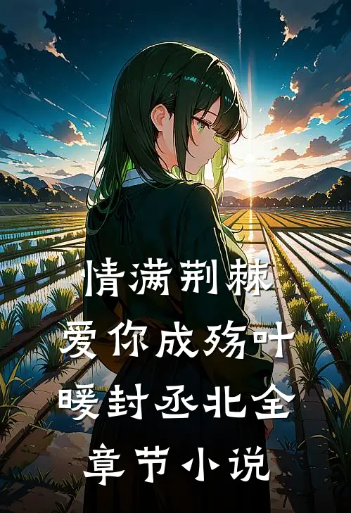 情满荆棘，爱你成殇叶暖封丞北全章节小说