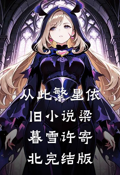 从此繁星依旧小说梁暮雪许寄北完结版