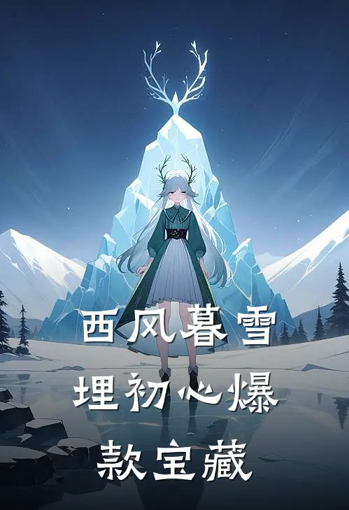 西风暮雪埋初心爆款宝藏