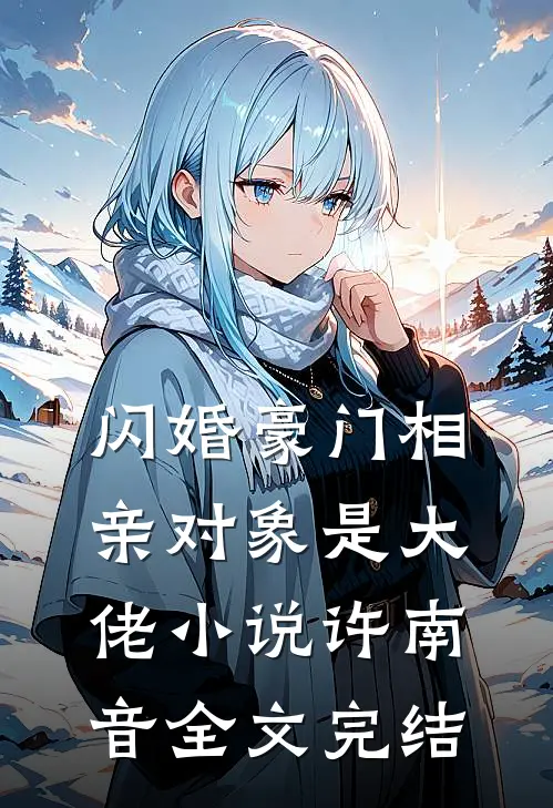 闪婚豪门相亲对象是大佬小说许南音全文完结