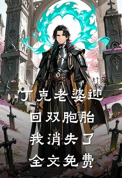 丁克老婆迎回双胞胎，我消失了全文免费