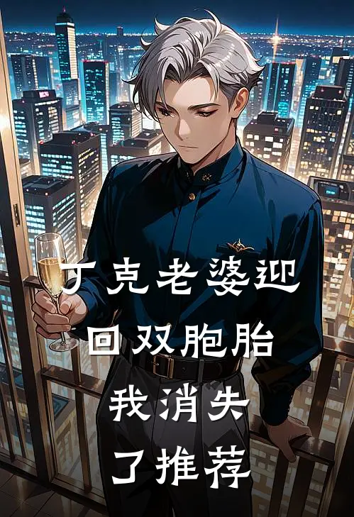 丁克老婆迎回双胞胎，我消失了推荐