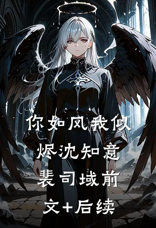 你如风我似烬沈知意裴司域前文+后续