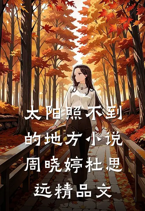 太阳照不到的地方小说周晓婷杜思远精品文