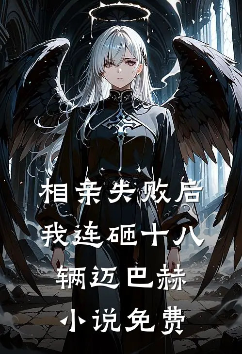相亲失败后，我连砸十八辆迈巴赫小说免费