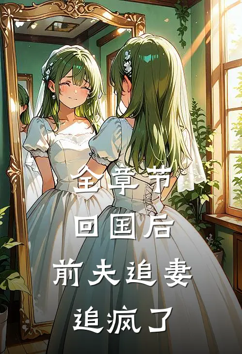 全章节回国后，前夫追妻追疯了