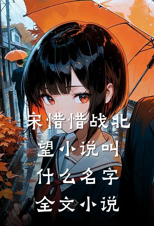 宋惜惜战北望小说叫什么名字全文小说