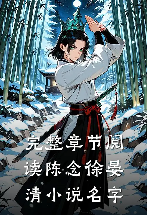 完整章节阅读陈念徐晏清小说名字