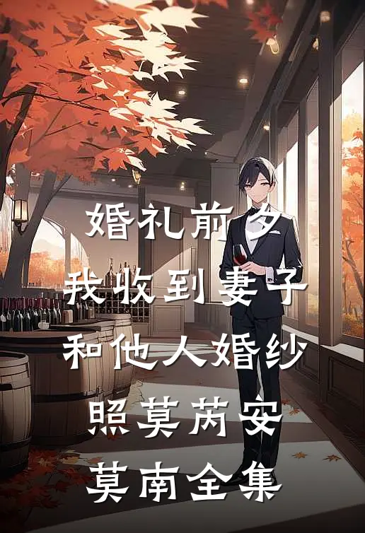 婚礼前夕，我收到妻子和他人婚纱照莫芮安莫南 全集