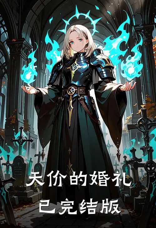 天价的婚礼已完结版