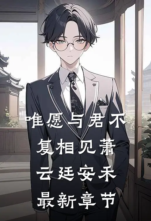 唯愿与君不复相见萧云廷安禾最新章节