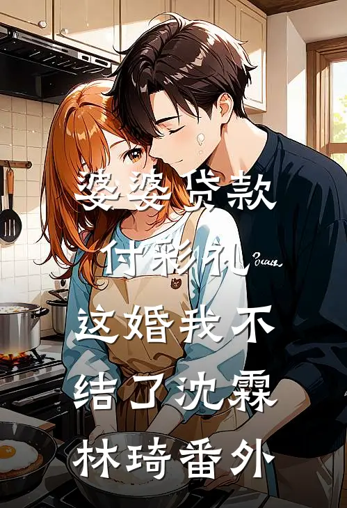 婆婆贷款付彩礼，这婚我不结了沈霖林琦 番外