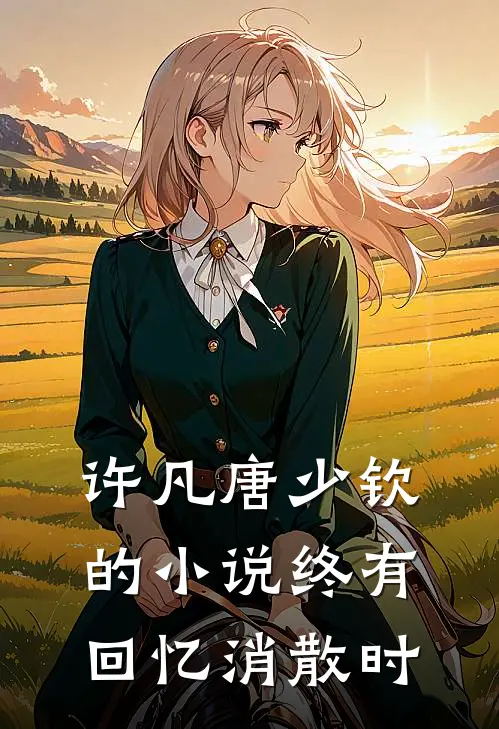 许凡唐少钦的小说终有回忆消散时