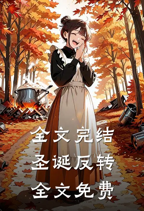 全文完结圣诞反转全文免费