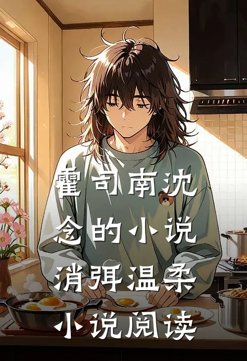 霍司南沈念的小说消弭温柔小说阅读