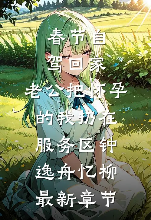 春节自驾回家，老公把怀孕的我扔在服务区钟逸舟忆柳最新章节