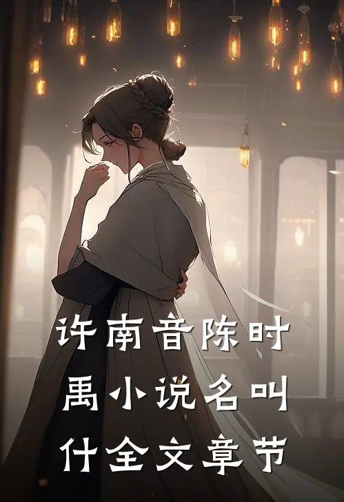 许南音陈时禹小说名叫什全文章节