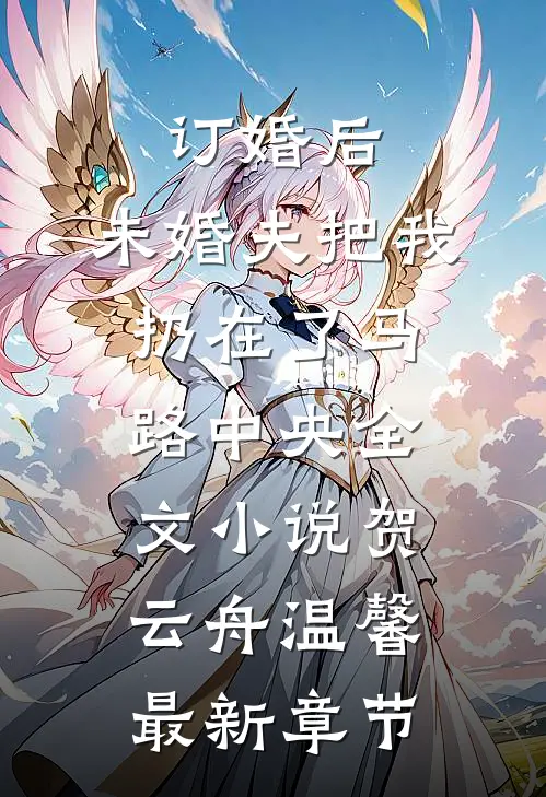 订婚后，未婚夫把我扔在了马路中央全文小说贺云舟温馨最新章节