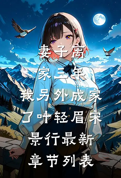 妻子离家三年，我另外成家了叶轻眉宋景行最新章节列表