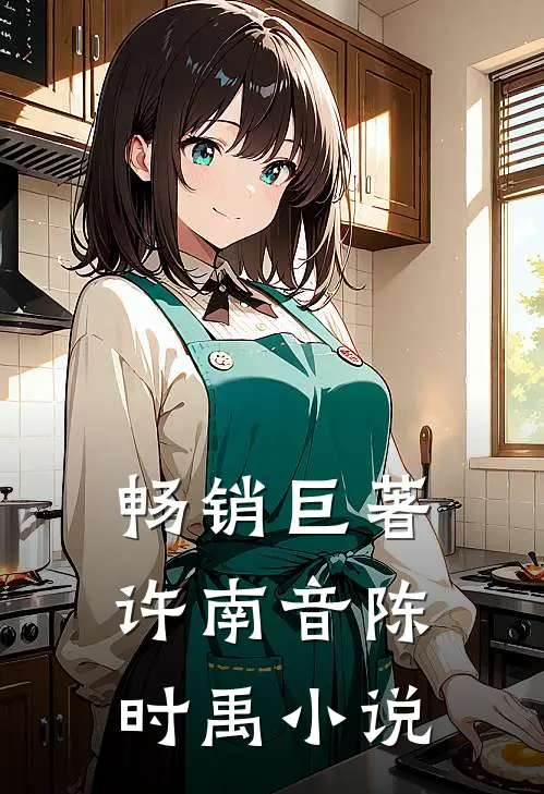 畅销巨著许南音陈时禹小说