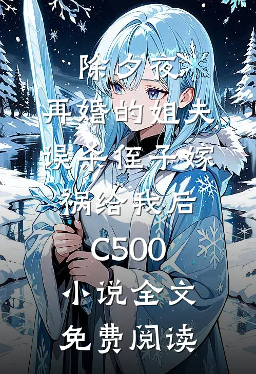 除夕夜，再婚的姐夫误杀侄子嫁祸给我后C500小说全文免费阅读