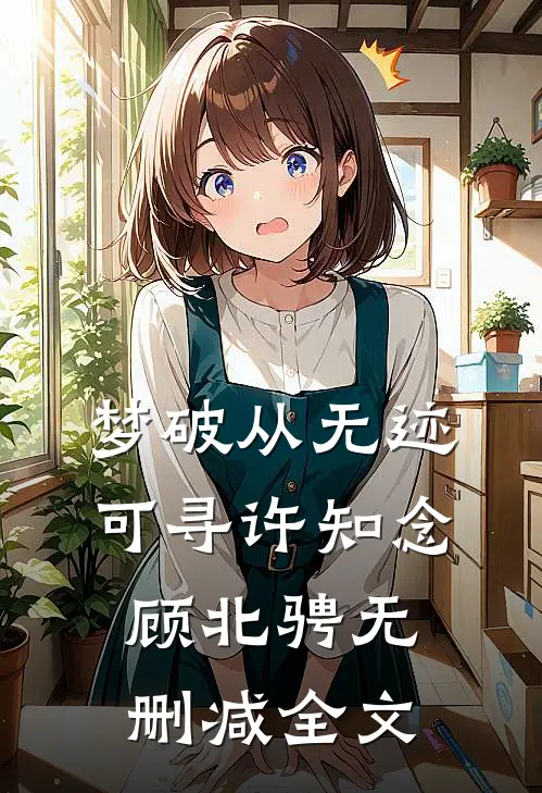 梦破从无迹可寻许知念顾北骋无删减全文