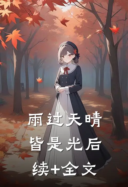 雨过天晴皆是光后续+全文