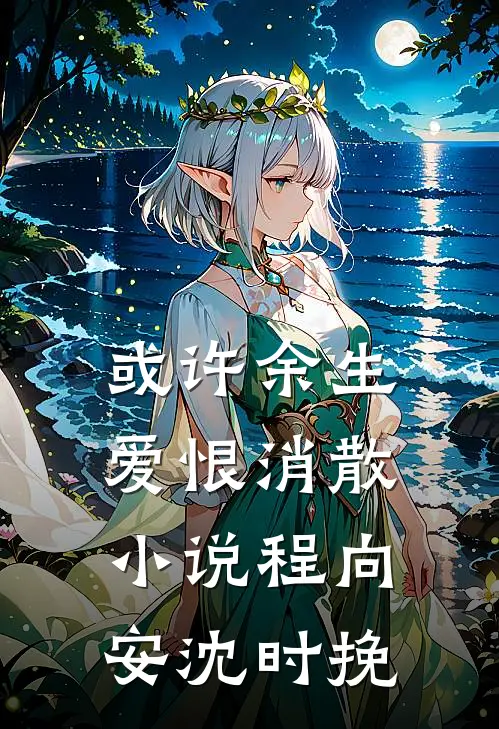 或许余生爱恨消散小说程向安沈时挽